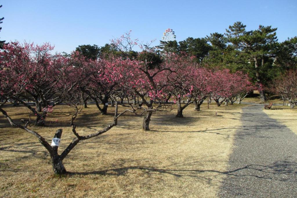 全景2