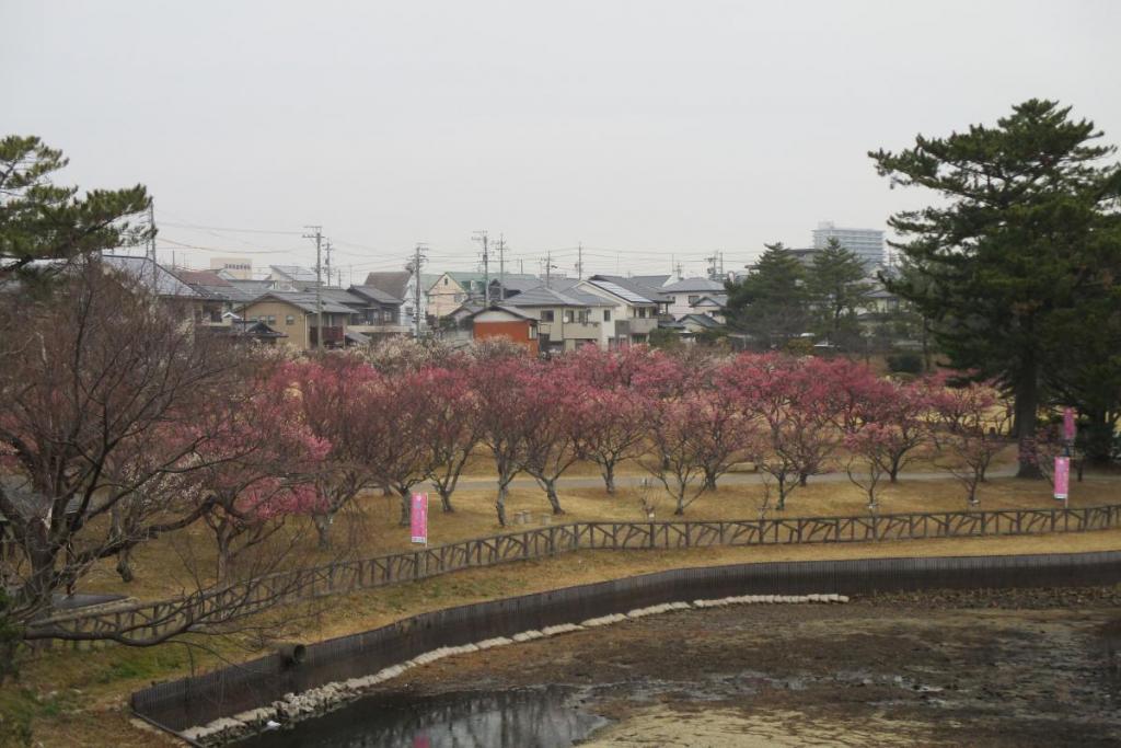 全景1