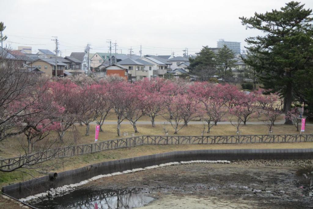 全景1