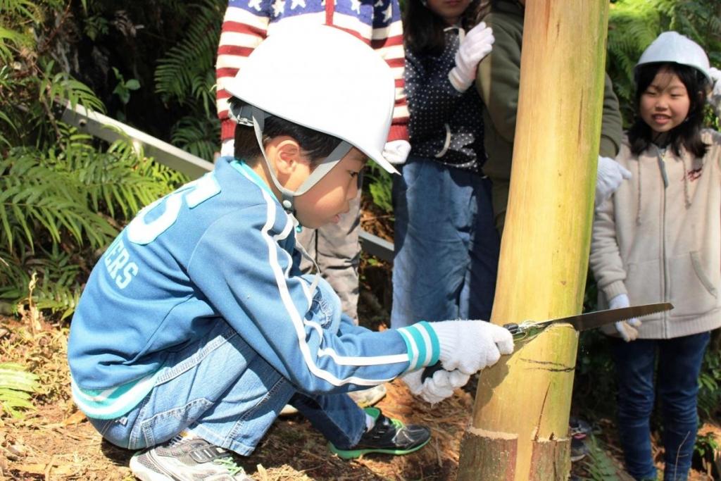 ノコギリで伐るのは思った以上に大変・・・