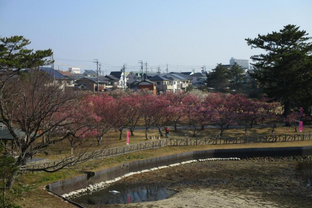 全景1