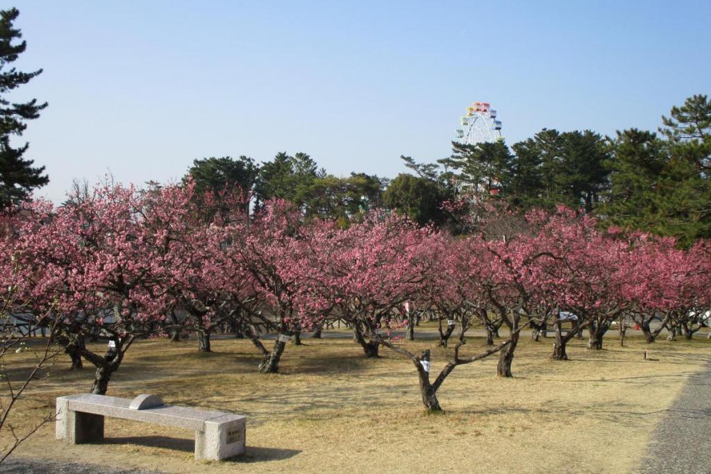 全景2