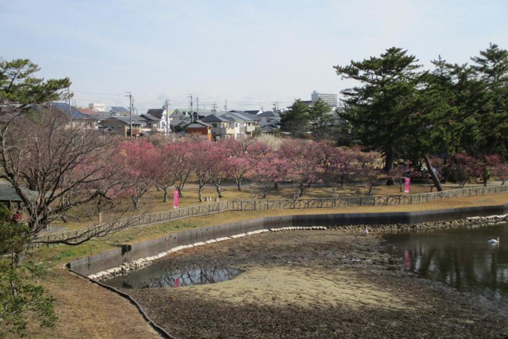 全景1