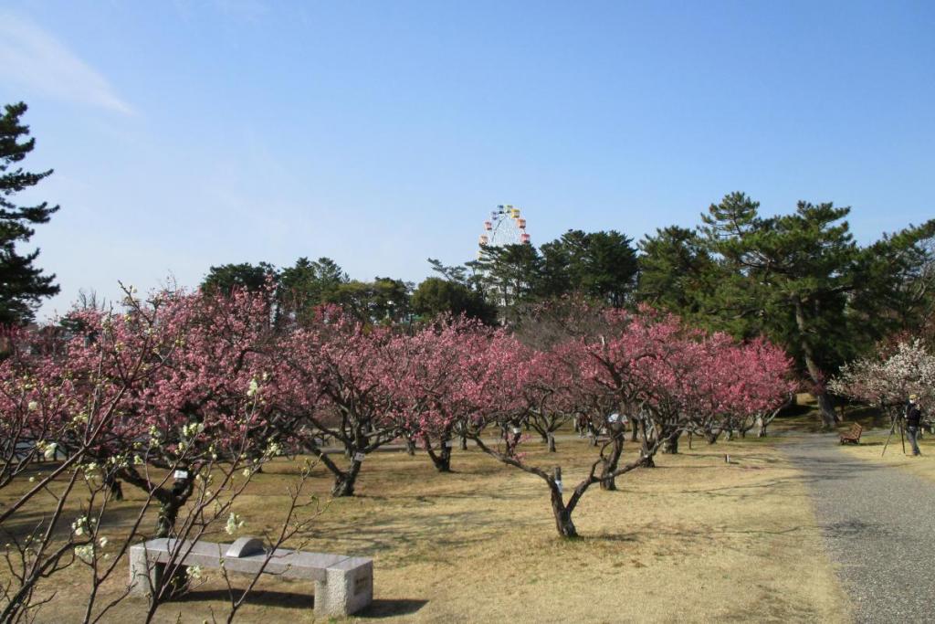 全景2