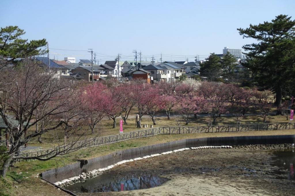 全景1