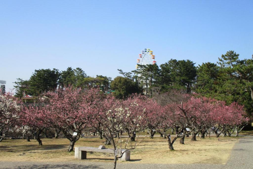 全景2