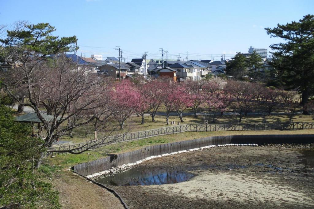 全景1