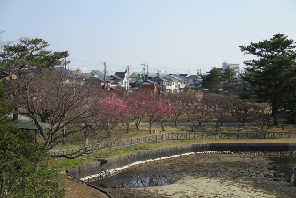 全景1