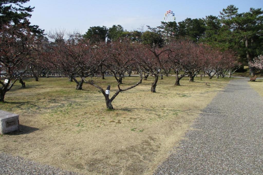 全景2