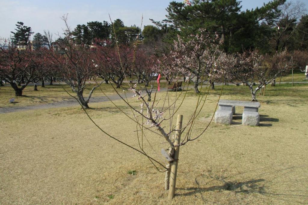 思いのまま全体