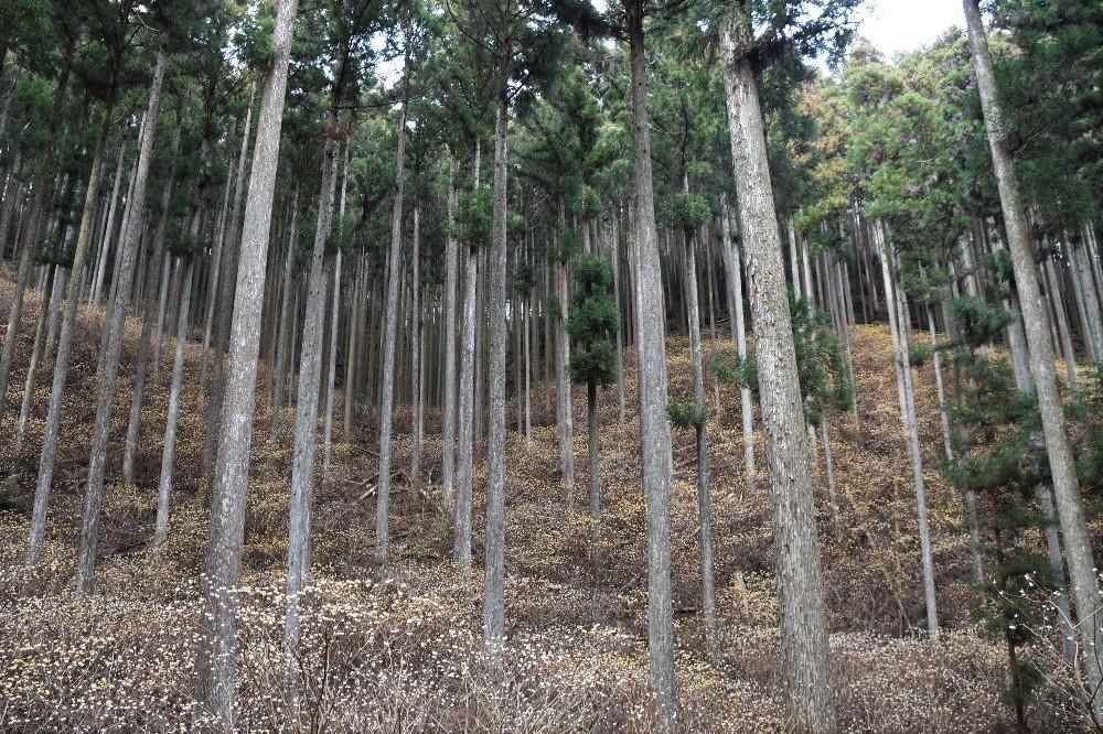 幻想的な風景に出会う感動の瞬間です