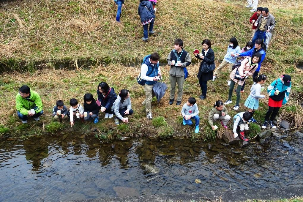 放流の様子