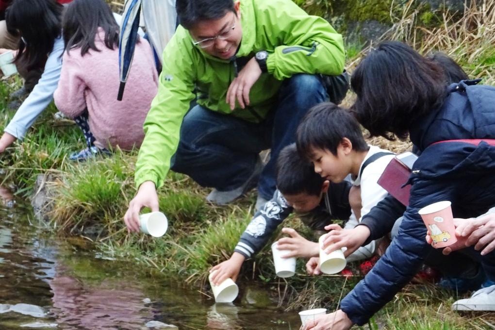 6月に光るのを楽しみにしているよ