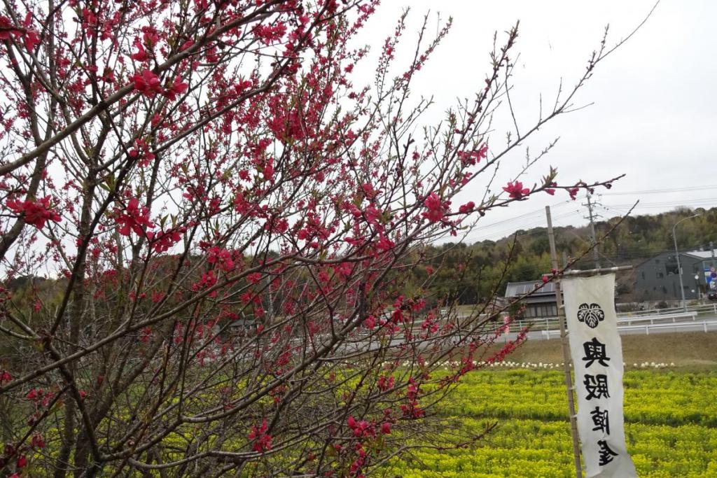 奥殿陣屋の澄んだ空気にとても癒されますよ。