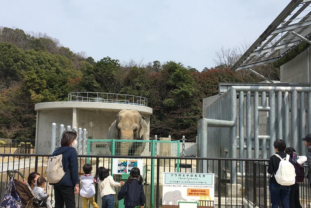 写真中央ふじ子の右側の奥に桜の木があります。