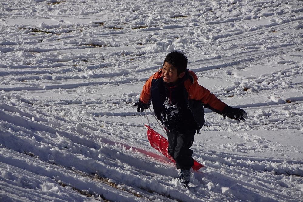 ソリは雪の日だけの限定！