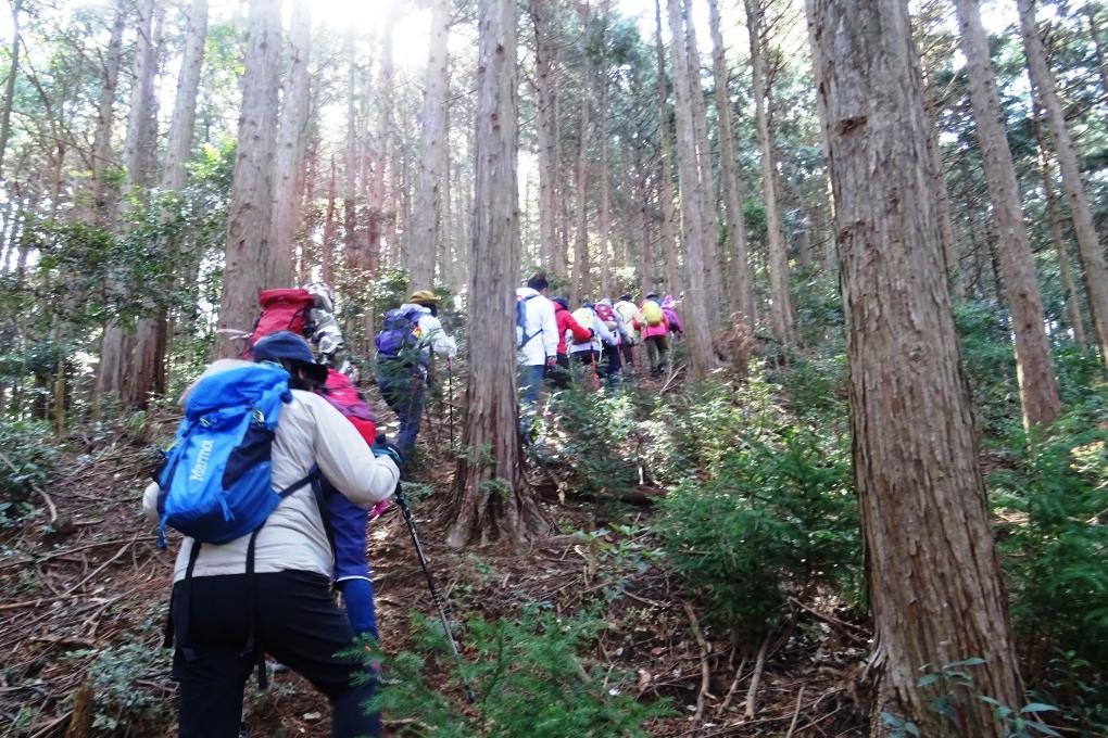 さぁいよいよ山を登ります