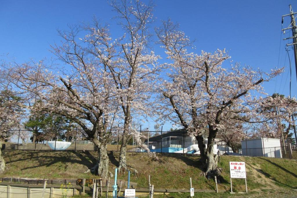 プール前