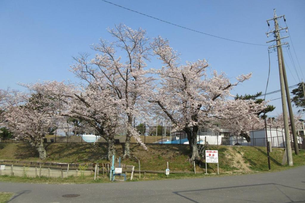 市民プール前1