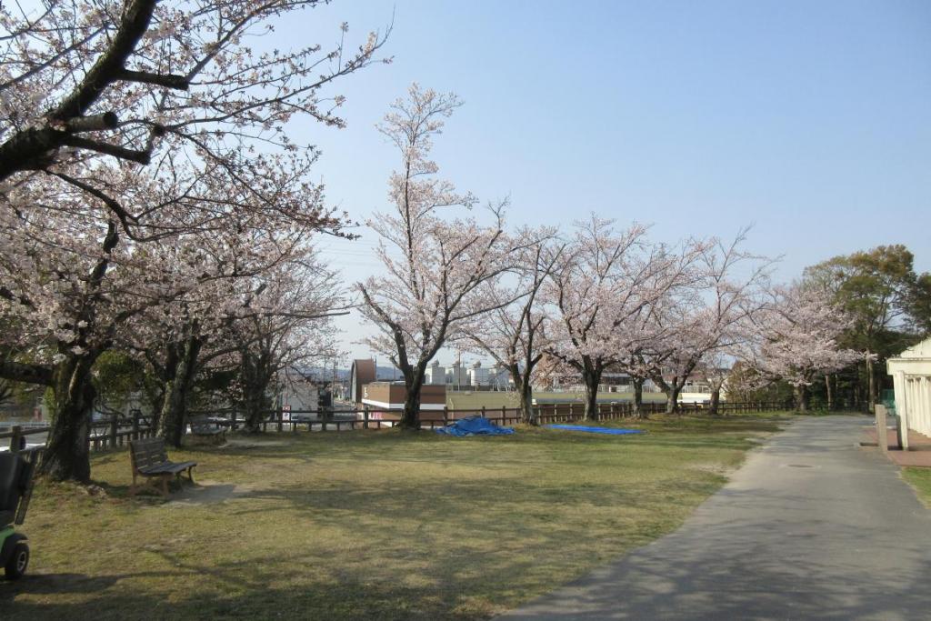 クラブハウス付近