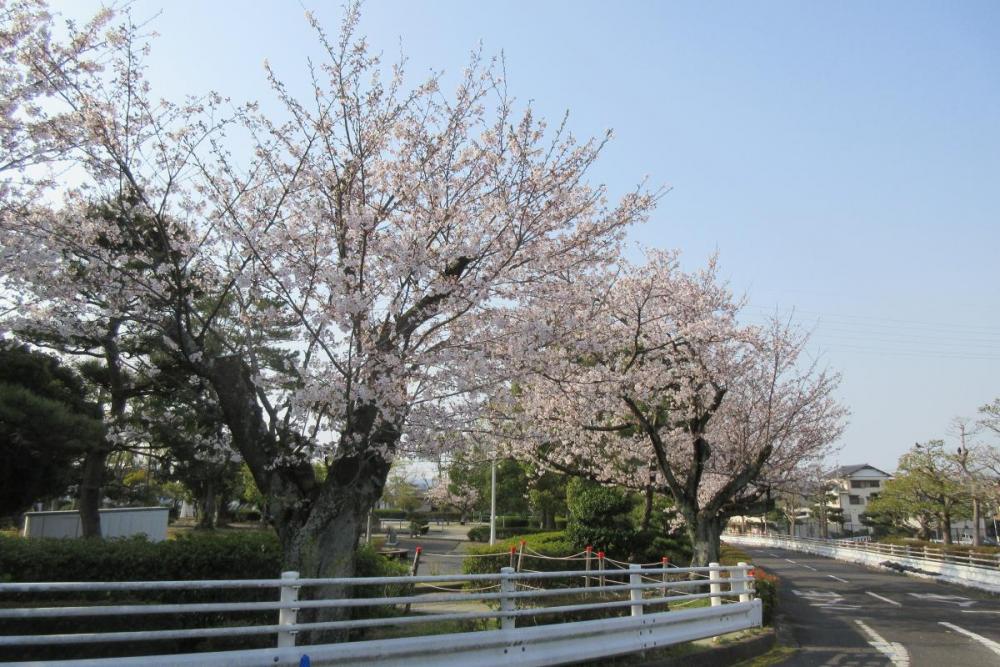 交通広場
