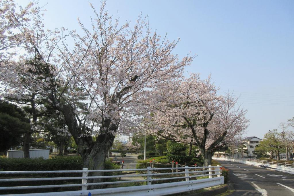 交通広場