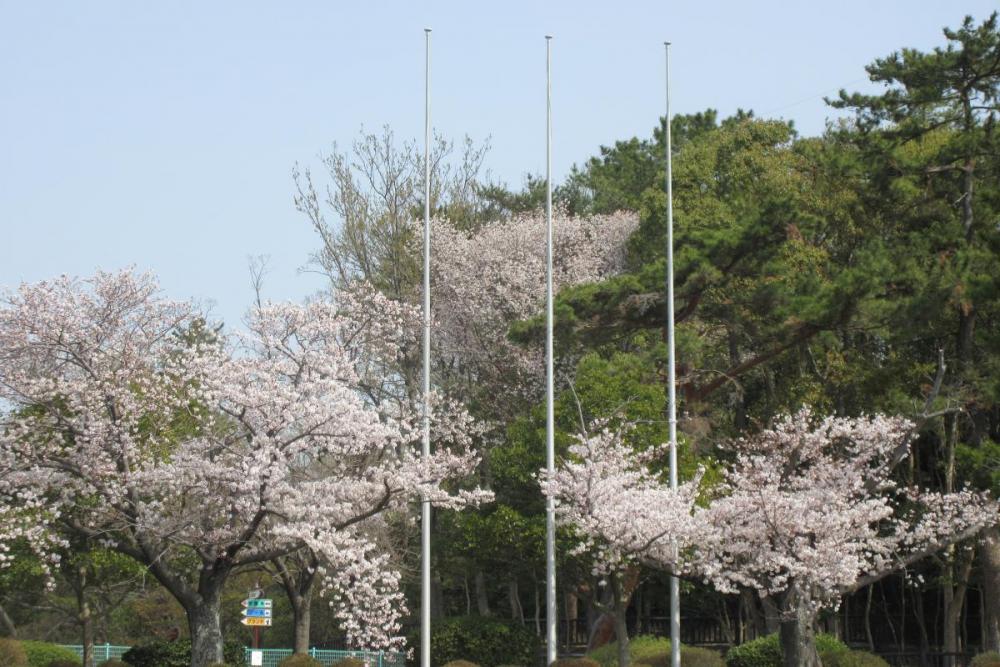 国旗掲揚塔付近
