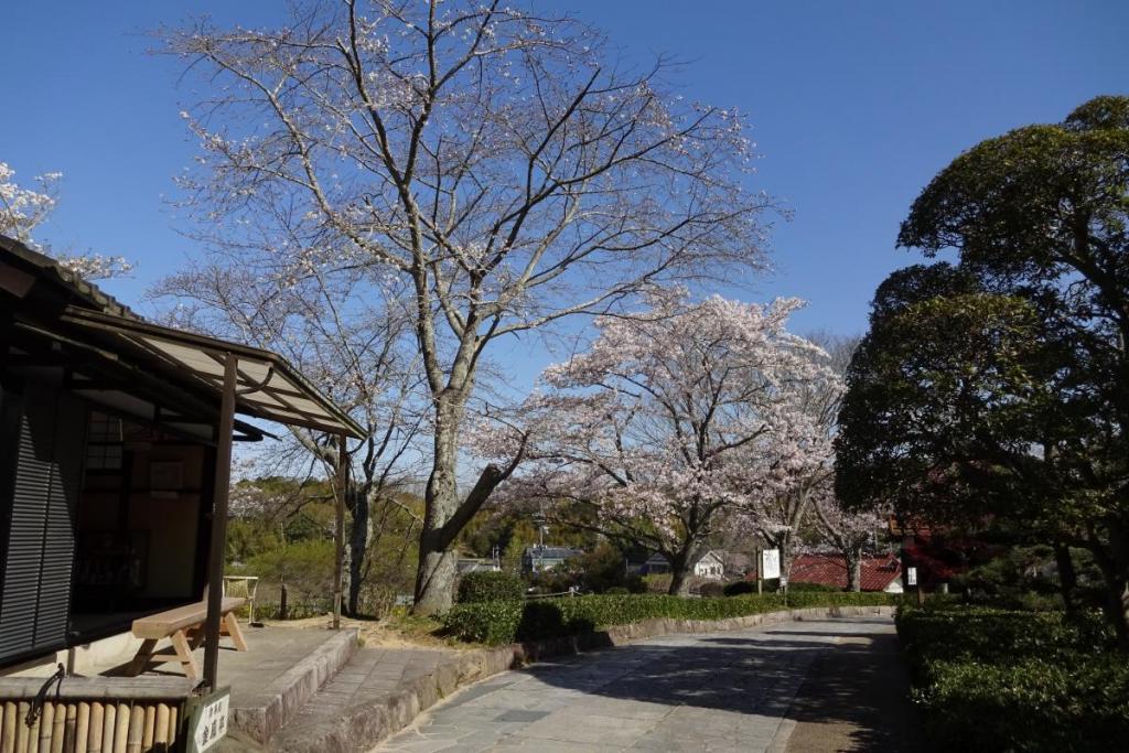 奥殿陣屋の春を楽しみませんか！