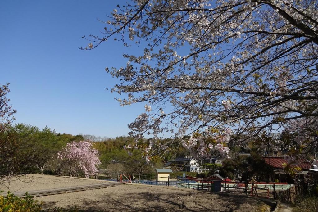 14日オープンの北欧風庭園お楽しみに！