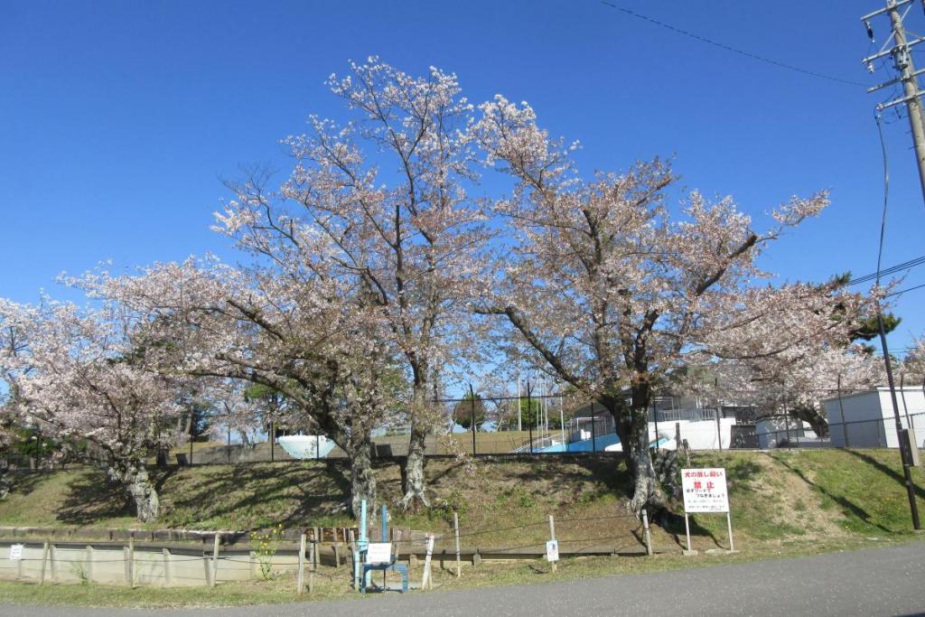 市民プール前1