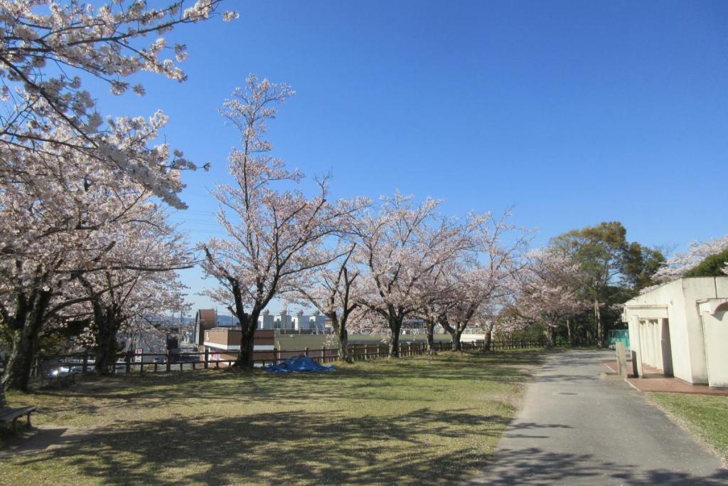 クラブハウス付近