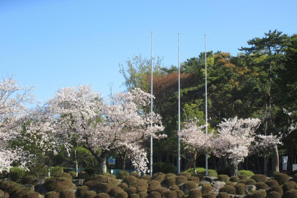 国旗掲揚塔付近