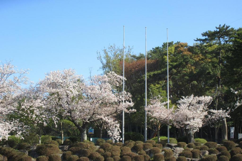 国旗掲揚塔付近