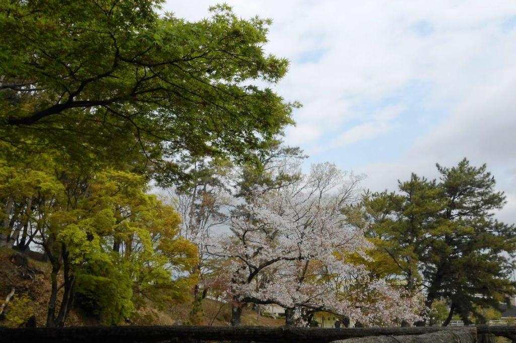 ついでに東公園を散策。