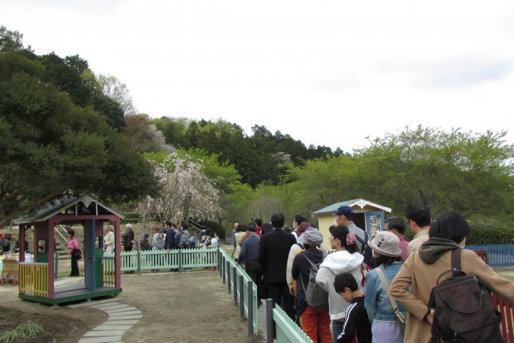 北欧風庭園はこれから色々な花を植えます。