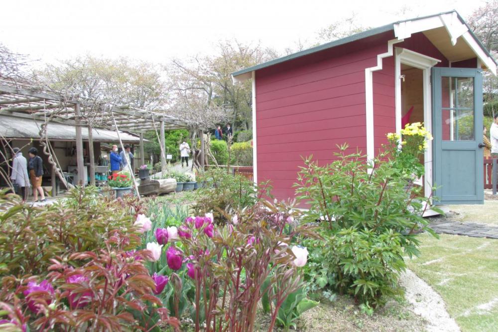 赤い小屋エリアの花壇は、シックな紫色がメイン。