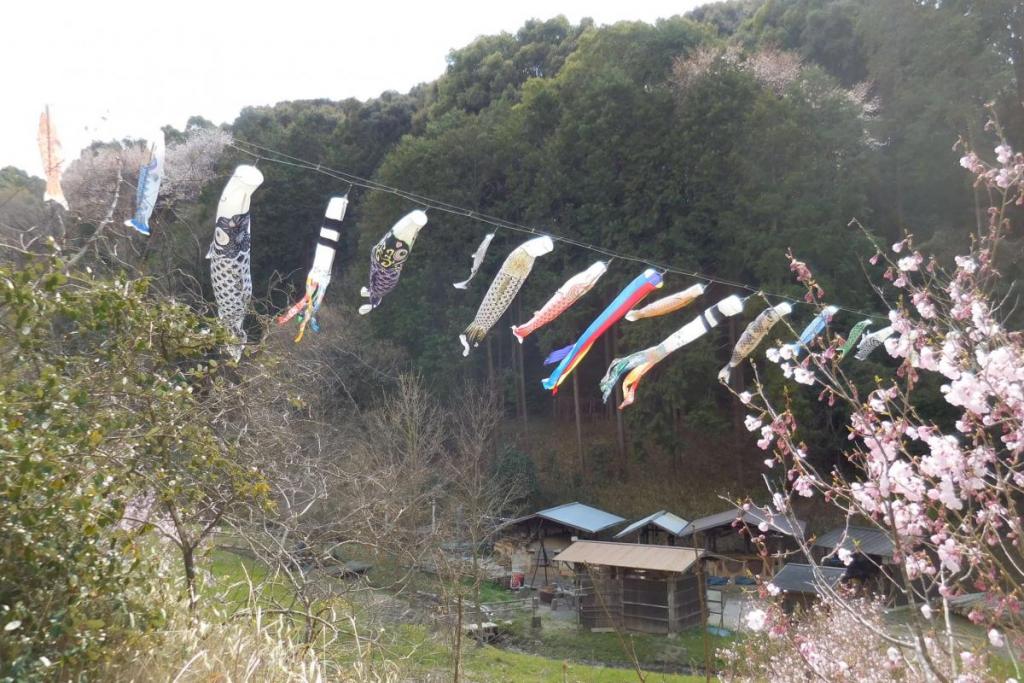 里山を泳ぐ鯉のぼり①