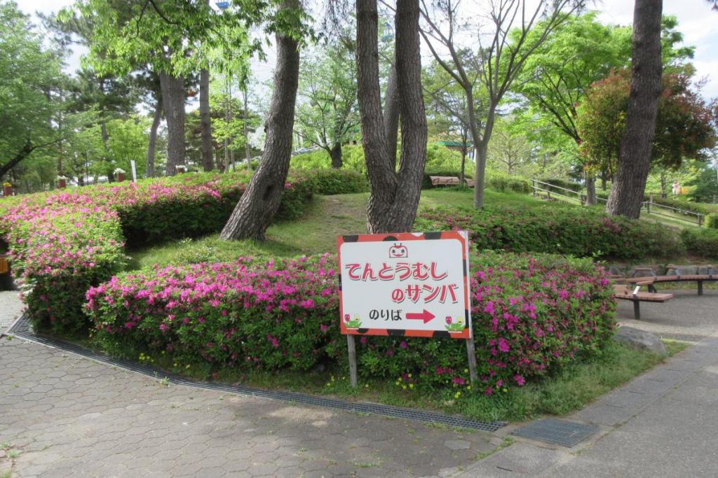 てんとう虫のサンバ付近