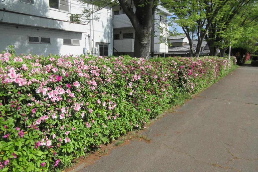 交通広場ＵＦＯトイレ付近