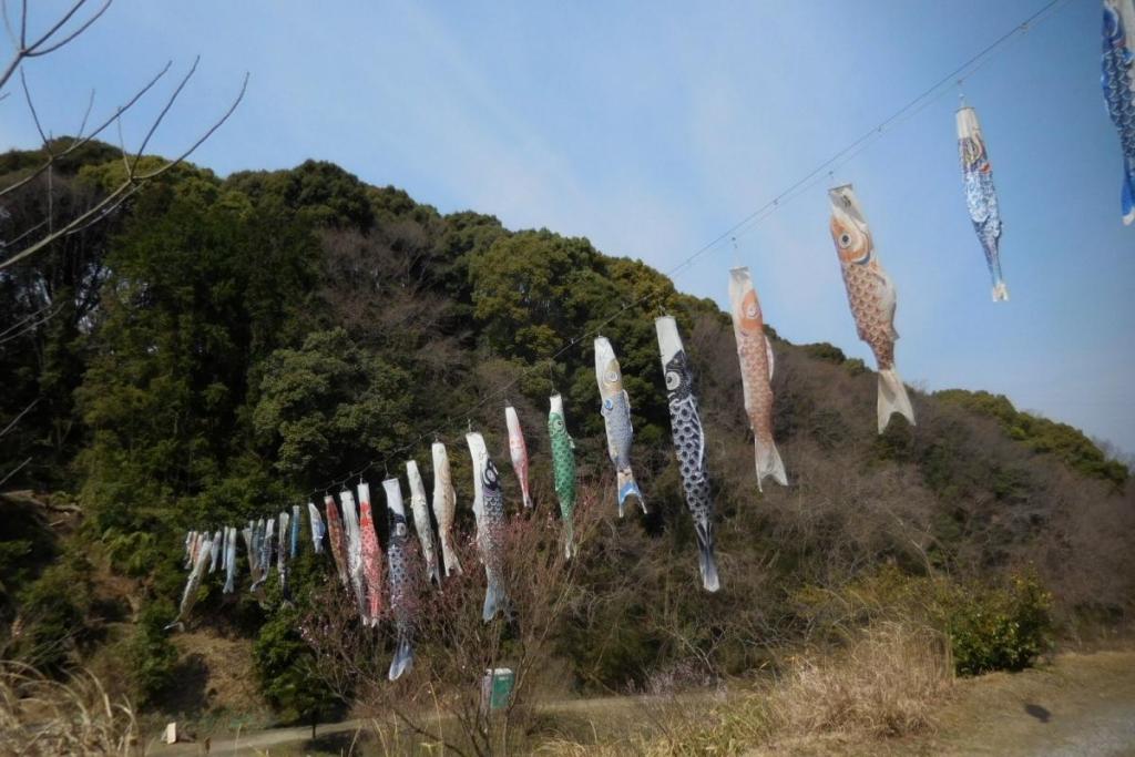 青空が綺麗ですね