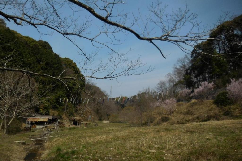 こちらからだと、空が広く見えます