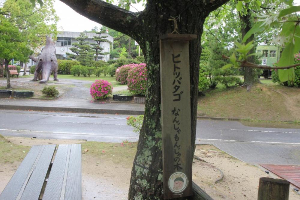 なんじゃもんじゃの木樹名板1