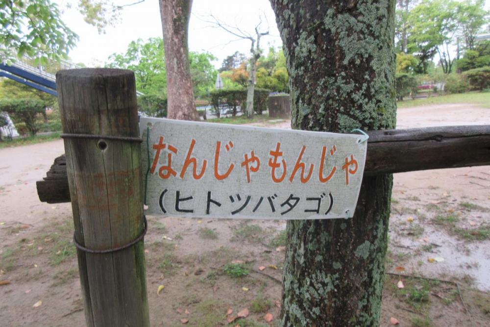 なんじゃもんじゃの木樹名板2