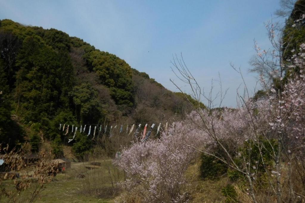 季節限定の絶景を見に、ぜひお越しください！