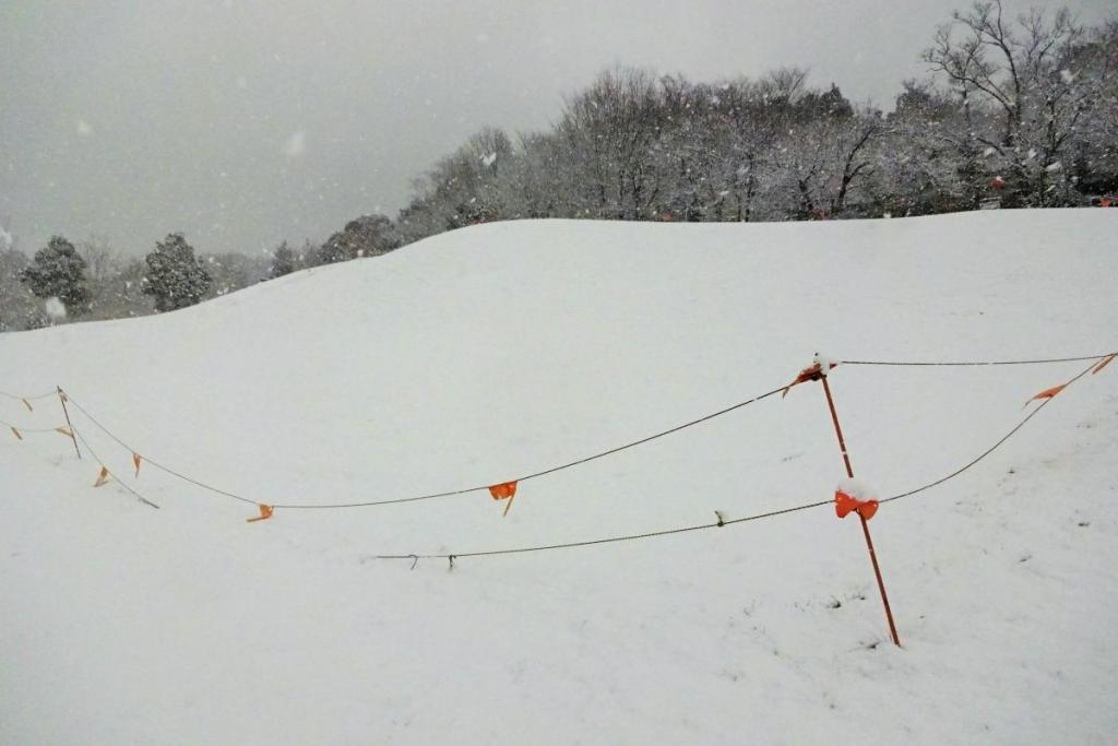 芝斜面はゲレンデに早変わり