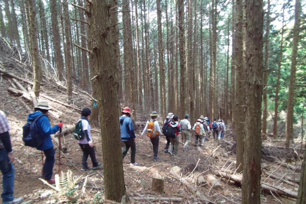 大代古道を下山