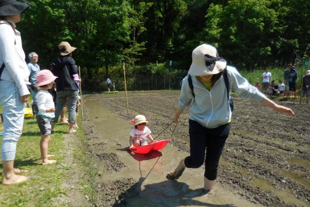 田んぼで歩くのは大変・・・