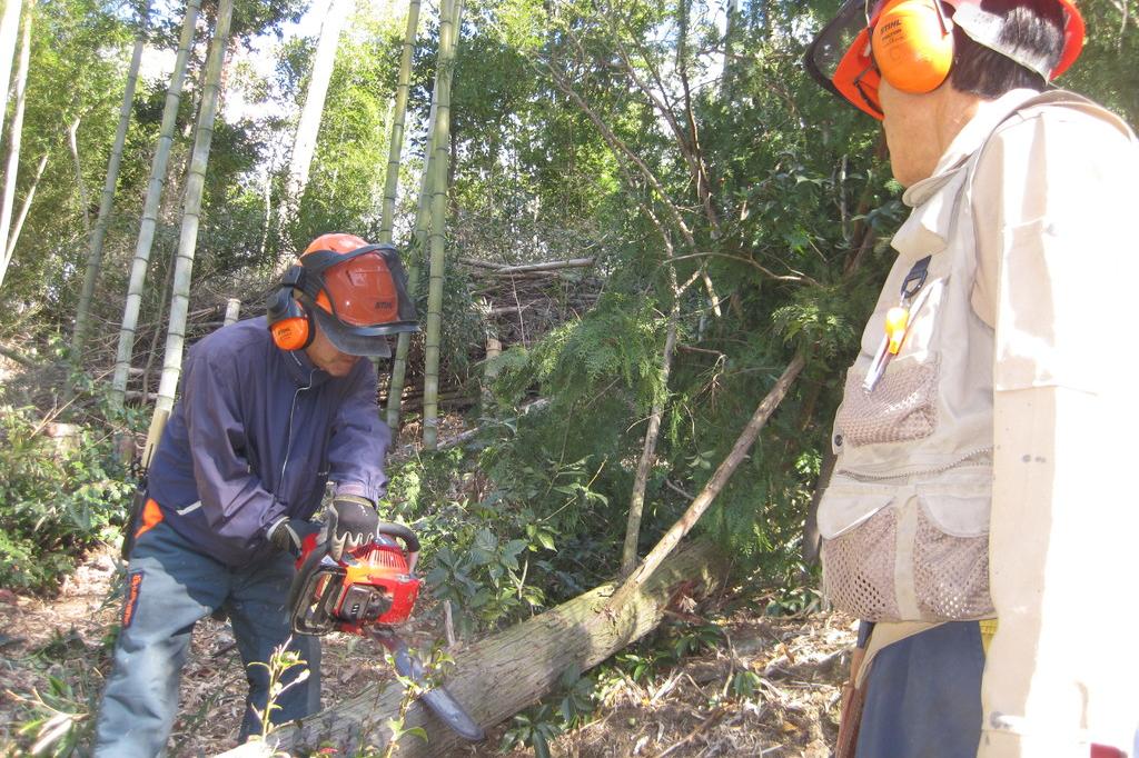 雑木林・人工林・竹林など多様な森づくりを展開