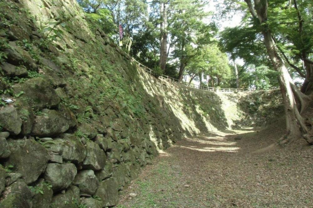清海堀の様子