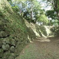 清海堀を探索しよう 2025
